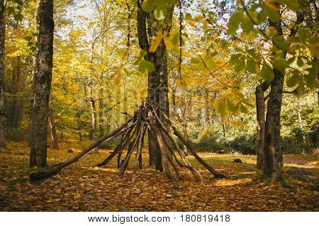 Autumn landscape. Colorful autumn forest. Autumn colors in the forest. Fall in the woods.