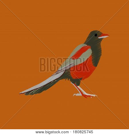 flat shading style icon magpie bird wildlife
