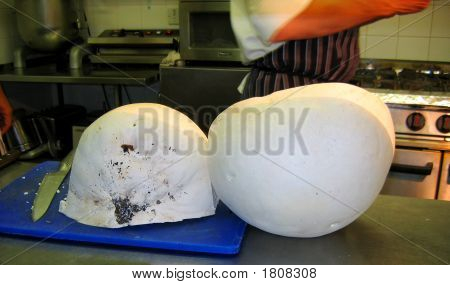 Bizzare Mushroom