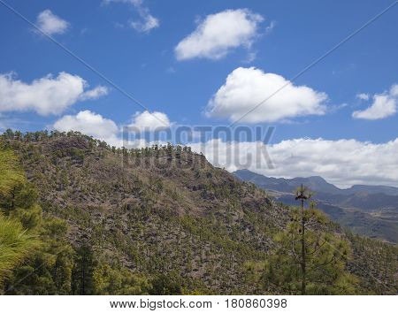 Central Gran Canaria protected area of Integral Nature Reserve Inagua pine forest
