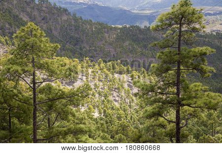 Central Gran Canaria, Nature Reserve Inagua