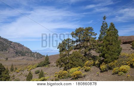 Central Gran Canaria, Nature Reserve Inagua