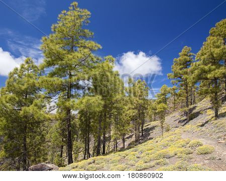 Central Gran Canaria, Nature Reserve Inagua