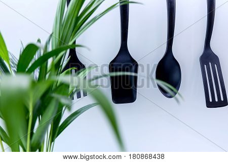 Palm Plant in front of kitchen utensils with shallow depth of field