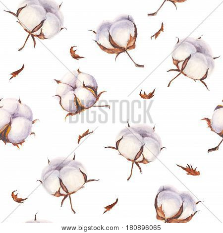Watercolor cotton flowers seamless pattern on white background