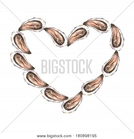 Heart with watercolor oysters on white background