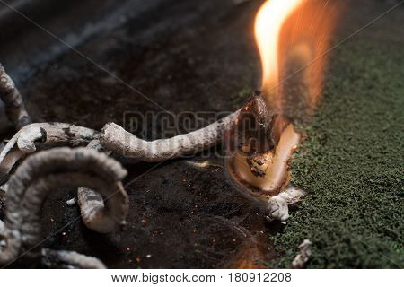 Chemical Experiment With Calcium Gluconate