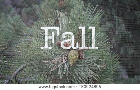Perfect art to accompany an article about the Fall season