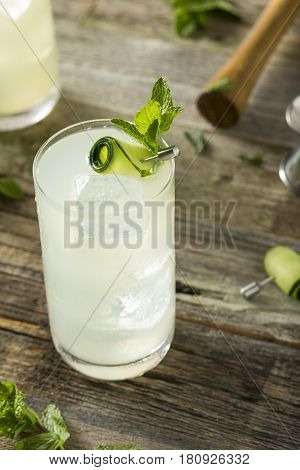 Refreshing Cucumber Gin Spritz Cocktail