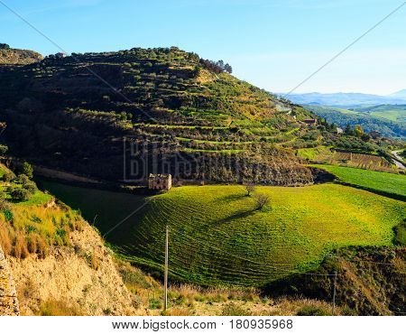 View of typical sicilian countryside in the winter season