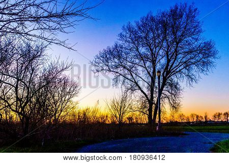 Sunset through a tree in Calvert Vaux Park Brooklyn NY
