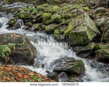 creek with running water