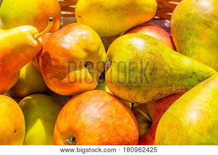 cox apples and blush and conference pears