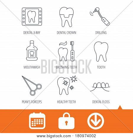 Stomatology, tooth and dental crown icons. X-ray, mouthwash and dental floss linear signs. Toothache, forceps icons. Download arrow, locker and calendar web icons. Vector