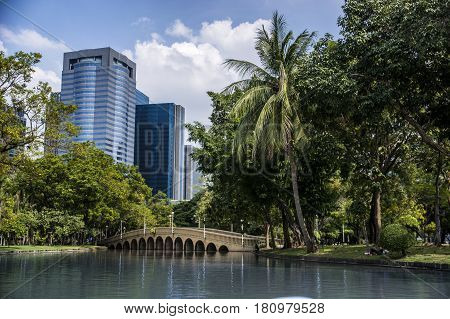 Picturesque view of tropic Lumpini park in light of rising sun, Bangkok, Thailand.