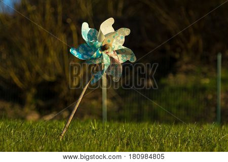 Plastic Windmill For Kids On The Lawn Garden Stopped With No Motion