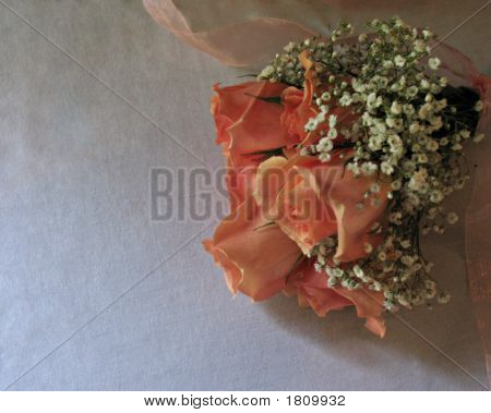 Orange_Roses