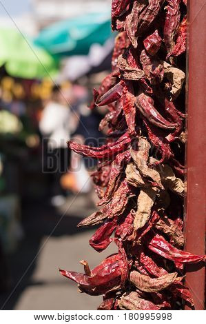 Chilly peppers at the marketplace on the sun