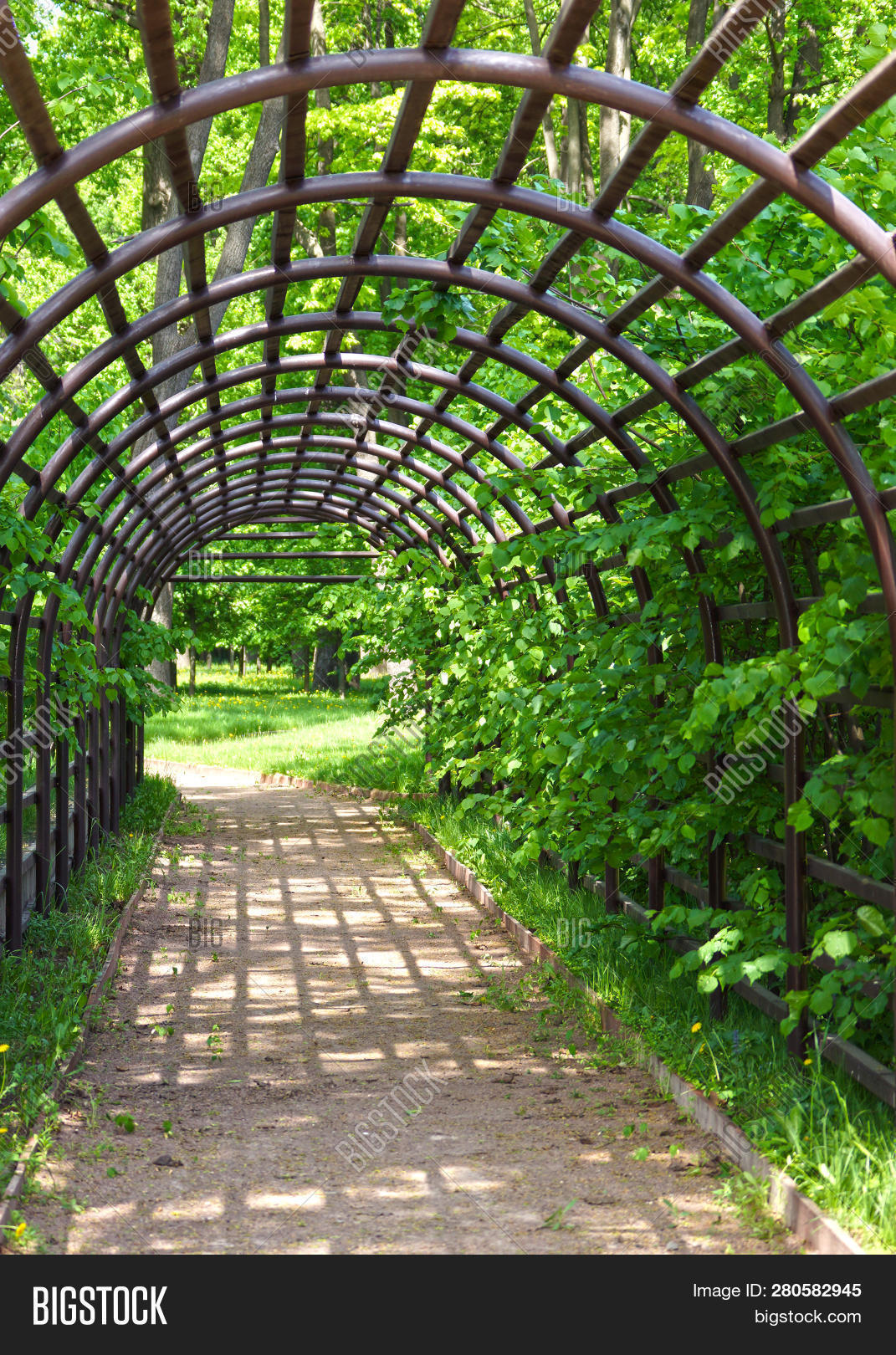 arched garden shade pergola on Pergola Garden Summer Image Photo Free Trial Bigstock
