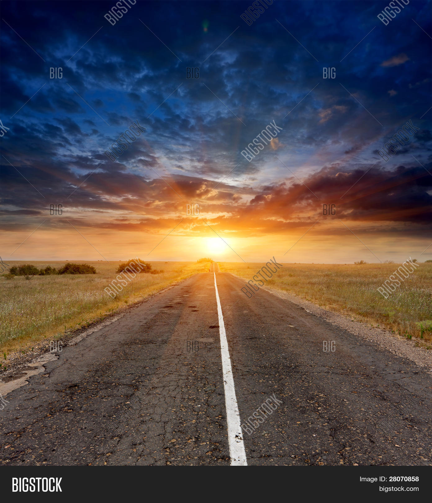 Imagen y foto Camino De Campo (prueba gratis) | Bigstock
