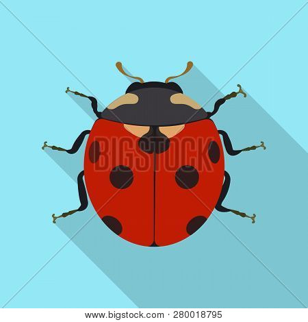 Vector Design Of Insect And Fly Icon. Set Of Insect And Element Vector Icon For Stock.