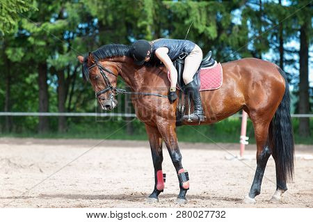 Training Process. Young Teenage Girl Riding Bay Horse On Arena At Equestrian School. Colored Outdoor
