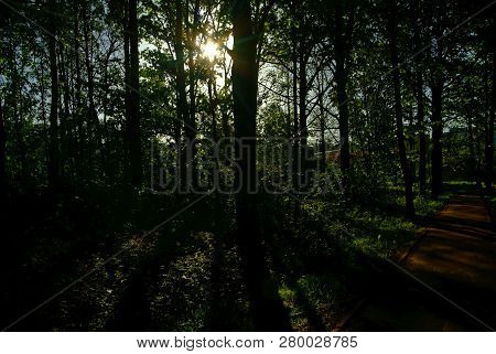 Asphalt Track In The Park In Spring, Moscow