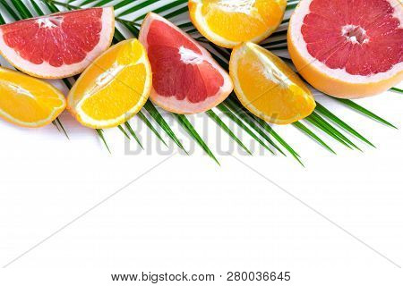 The Basis For The Banner With Palm Leaf And Fruit. Grepfruit, Orange, Palm Leaf With Space For Copis