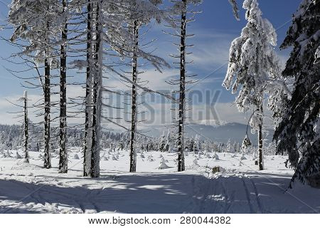 Winter Landscape Under The Kralicky Sneznik - The Highest Peak Of The Mountain Range Of The Same Nam