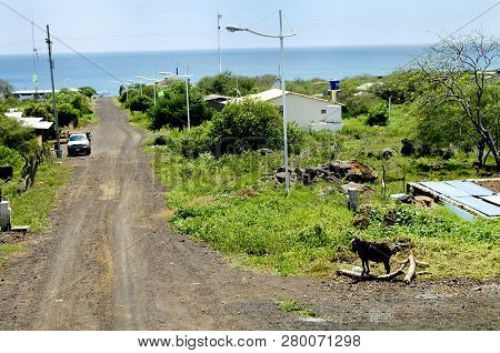 Dirt Road On Floreana Island - Galapagos