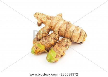 Fresh Turmeric On A White Background. Herbal