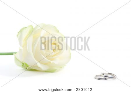Anneaux de mariage et une Rose