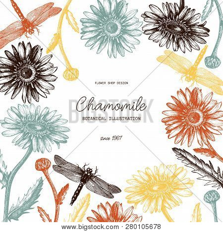Chamomile Card 1