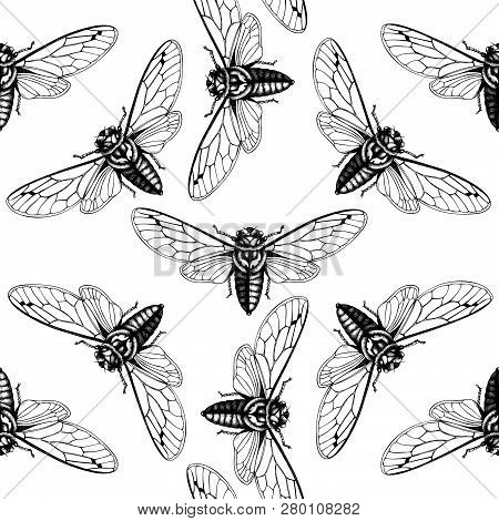 Cicada_pattern_2