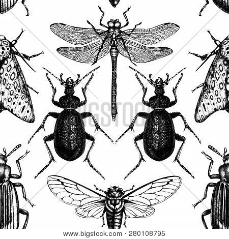 Insects_pattern_1