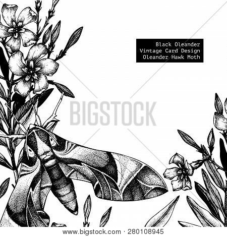Oleander Flower Card 1.ai