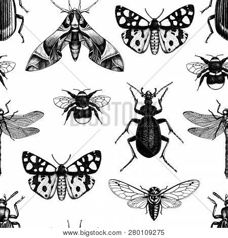 Isects_pattern_2