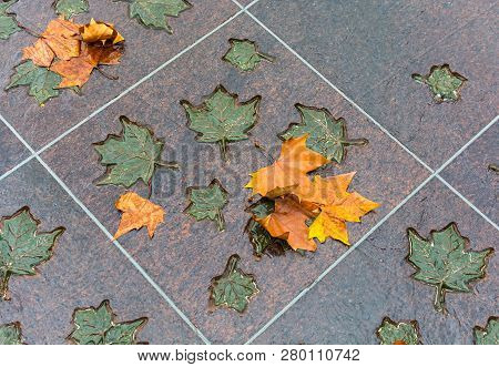 London, United Kingdom - November 25, 2018: Bronze And Natural Maple Leaves In Canada Memorial In Gr