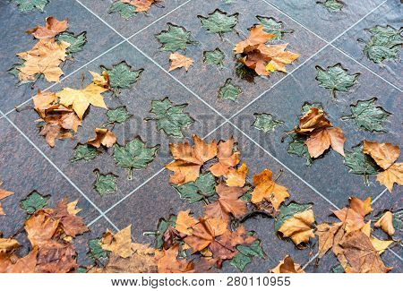London, United Kingdom - November 25, 2018: Bronze And Natural Maple Leaves In Canada Memorial In Gr