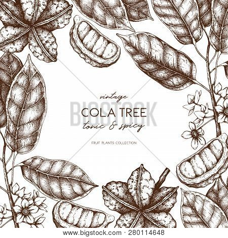 Cola_tree_design_2