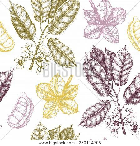 Cola_tree_pattern_1