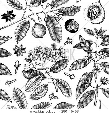 Spice_plants_pattern_2