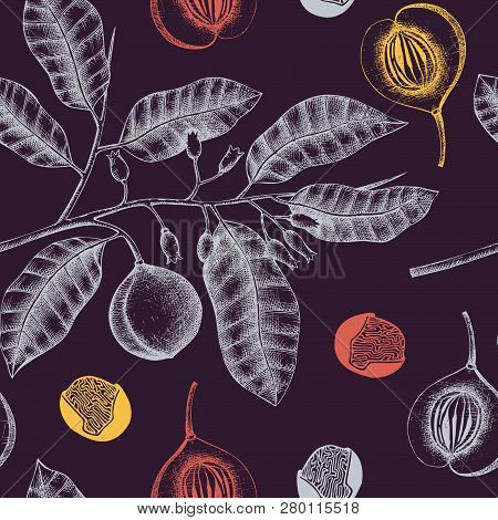 Spice_plants_pattern_4
