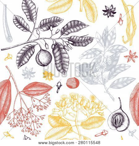 Spice_plants_pattern_5