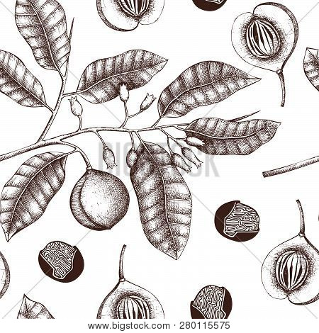 Spice_plants_pattern_7