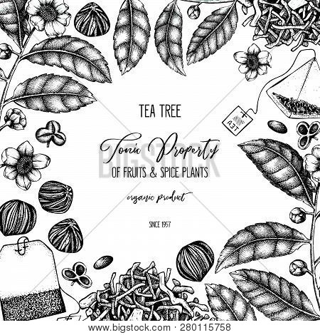 Chinese Tea_card_5