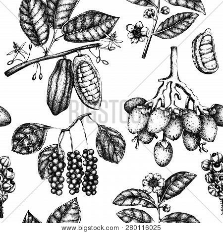 Vector Background With Tonic And Spicy Plants. Hand Drawn Seamless Pattern With Spices Illustrations