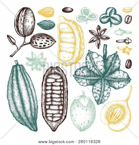 Tonic_plants_1_1