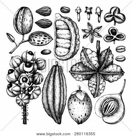 Tonic_plants_2