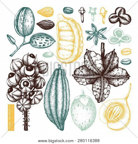 Tonic_plants_2_1